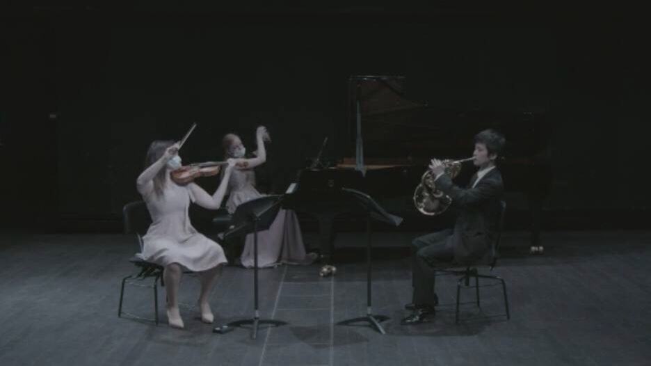 Chamber music · trio